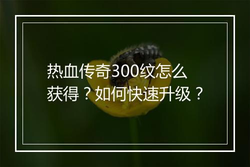 热血传奇300纹怎么获得？如何快速升级？