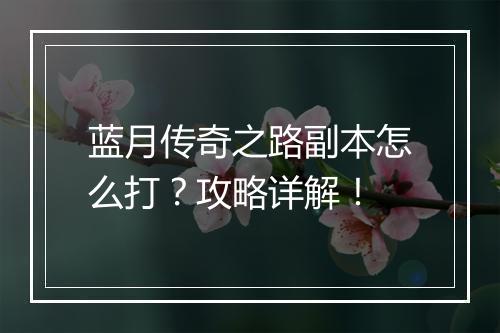 蓝月传奇之路副本怎么打？攻略详解！