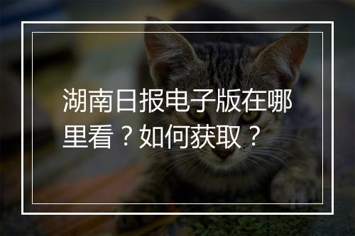 湖南日报电子版在哪里看？如何获取？