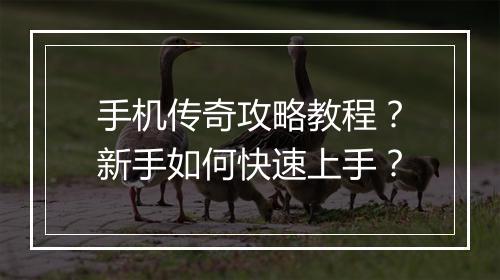 手机传奇攻略教程？新手如何快速上手？