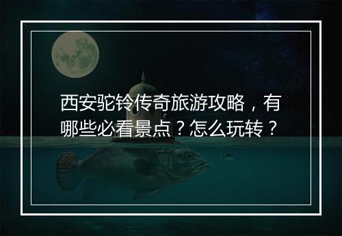 西安驼铃传奇旅游攻略，有哪些必看景点？怎么玩转？