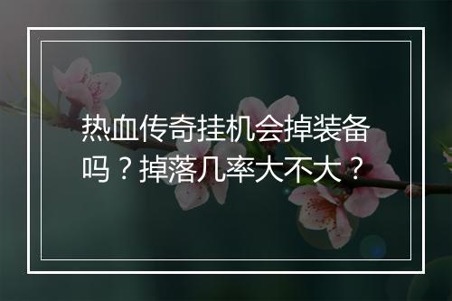 热血传奇挂机会掉装备吗？掉落几率大不大？