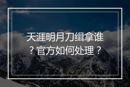 天涯明月刀缉拿谁？官方如何处理？