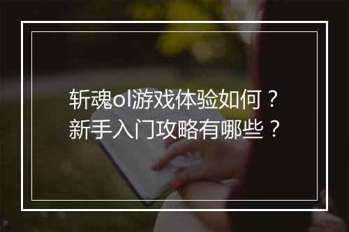 斩魂ol游戏体验如何？新手入门攻略有哪些？