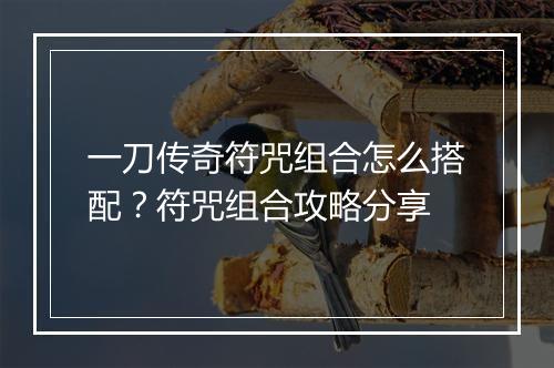 一刀传奇符咒组合怎么搭配？符咒组合攻略分享