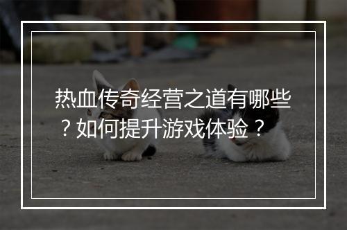 热血传奇经营之道有哪些？如何提升游戏体验？