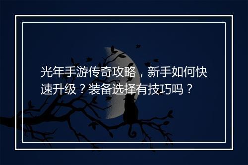 光年手游传奇攻略，新手如何快速升级？装备选择有技巧吗？