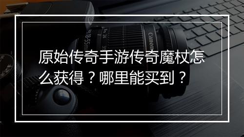 原始传奇手游传奇魔杖怎么获得？哪里能买到？
