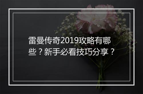 雷曼传奇2019攻略有哪些？新手必看技巧分享？