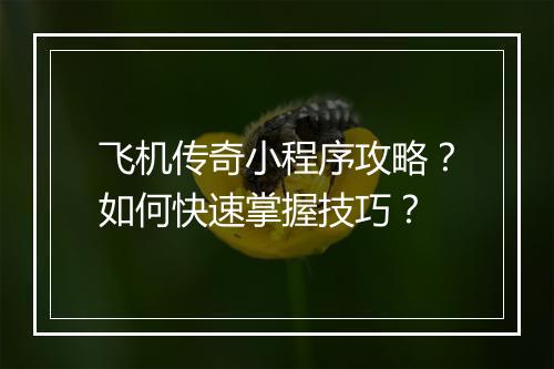 飞机传奇小程序攻略？如何快速掌握技巧？