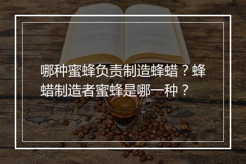 哪种蜜蜂负责制造蜂蜡？蜂蜡制造者蜜蜂是哪一种？