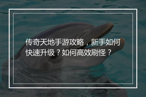 传奇天地手游攻略，新手如何快速升级？如何高效刷怪？