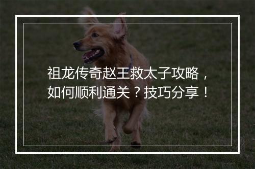 祖龙传奇赵王救太子攻略，如何顺利通关？技巧分享！
