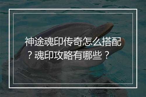 神途魂印传奇怎么搭配？魂印攻略有哪些？