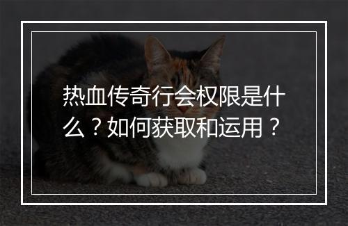 热血传奇行会权限是什么？如何获取和运用？