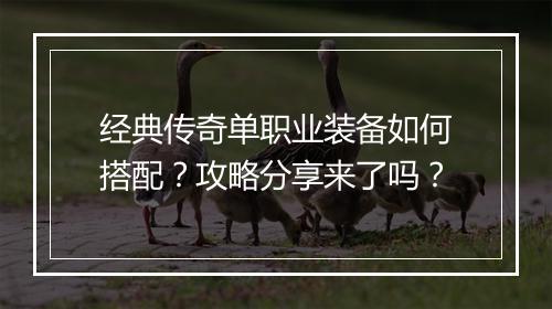经典传奇单职业装备如何搭配？攻略分享来了吗？