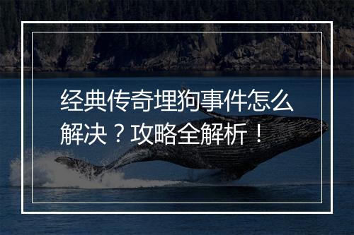 经典传奇埋狗事件怎么解决？攻略全解析！