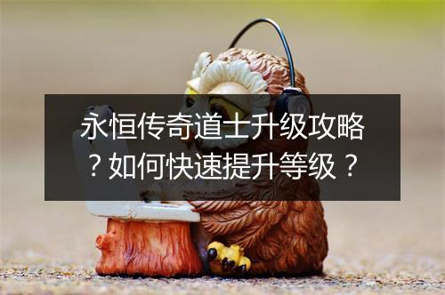 永恒传奇道士升级攻略？如何快速提升等级？