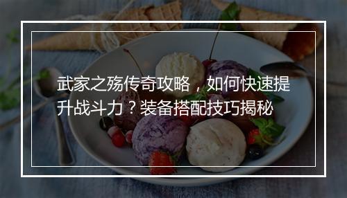 武家之殇传奇攻略，如何快速提升战斗力？装备搭配技巧揭秘