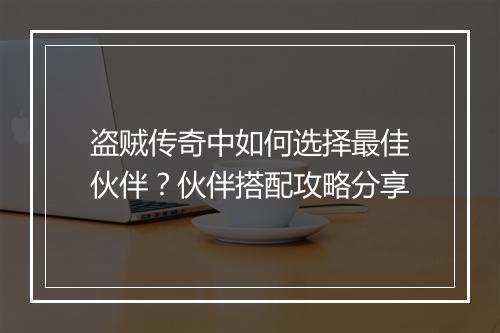 盗贼传奇中如何选择最佳伙伴？伙伴搭配攻略分享
