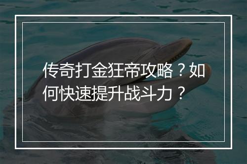 传奇打金狂帝攻略？如何快速提升战斗力？