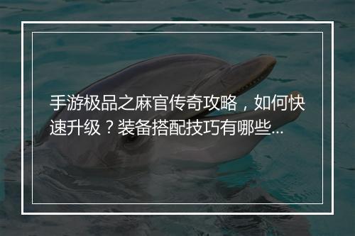 手游极品之麻官传奇攻略，如何快速升级？装备搭配技巧有哪些？