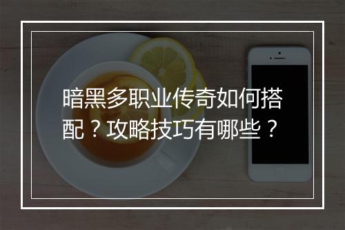 暗黑多职业传奇如何搭配？攻略技巧有哪些？
