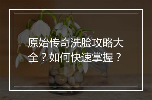 原始传奇洗脸攻略大全？如何快速掌握？