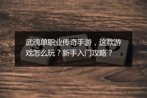武魂单职业传奇手游，这款游戏怎么玩？新手入门攻略？