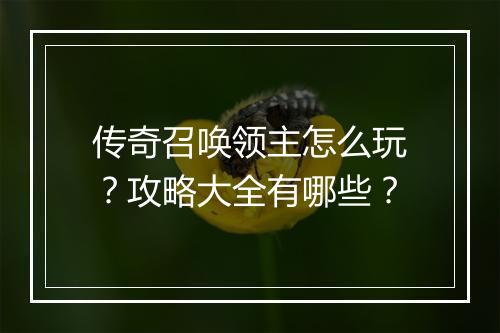 传奇召唤领主怎么玩？攻略大全有哪些？