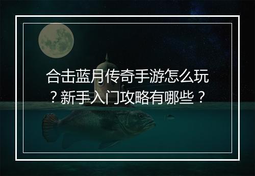合击蓝月传奇手游怎么玩？新手入门攻略有哪些？