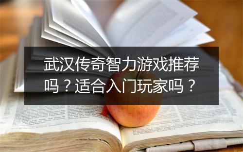 武汉传奇智力游戏推荐吗？适合入门玩家吗？