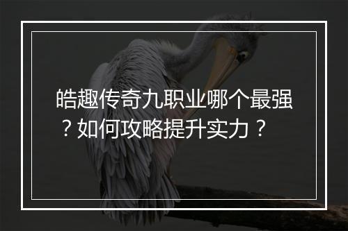 皓趣传奇九职业哪个最强？如何攻略提升实力？