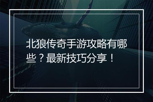 北狼传奇手游攻略有哪些？最新技巧分享！