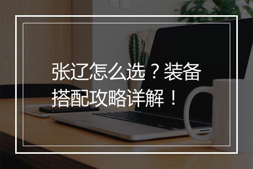 张辽怎么选？装备搭配攻略详解！