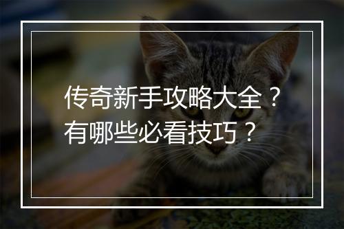 传奇新手攻略大全？有哪些必看技巧？