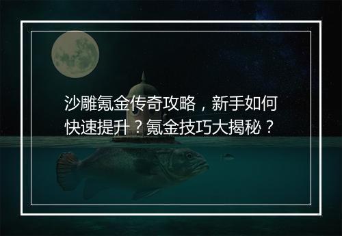 沙雕氪金传奇攻略，新手如何快速提升？氪金技巧大揭秘？