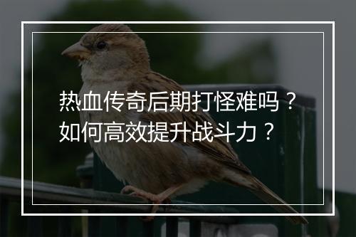 热血传奇后期打怪难吗？如何高效提升战斗力？