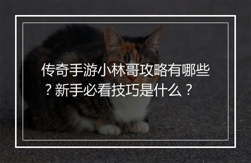 传奇手游小林哥攻略有哪些？新手必看技巧是什么？