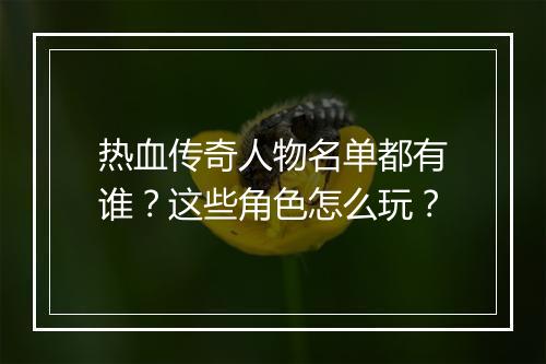 热血传奇人物名单都有谁？这些角色怎么玩？
