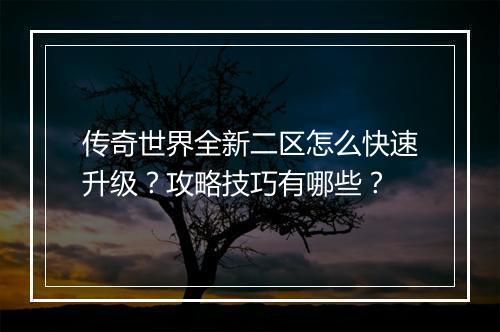 传奇世界全新二区怎么快速升级？攻略技巧有哪些？