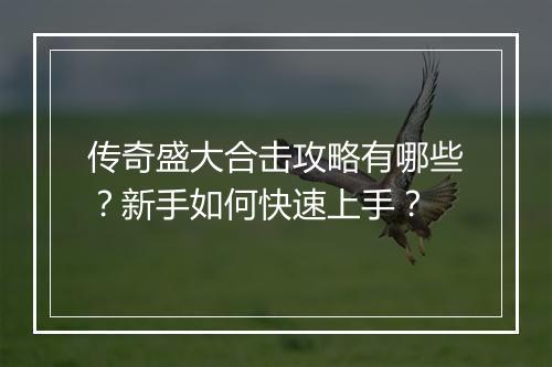 传奇盛大合击攻略有哪些？新手如何快速上手？