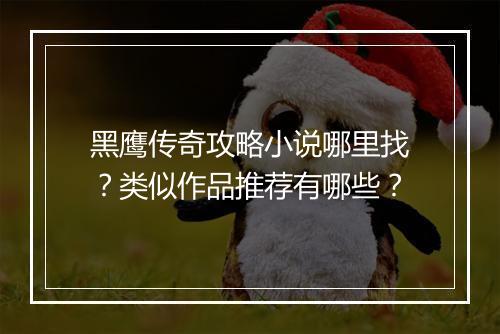 黑鹰传奇攻略小说哪里找？类似作品推荐有哪些？