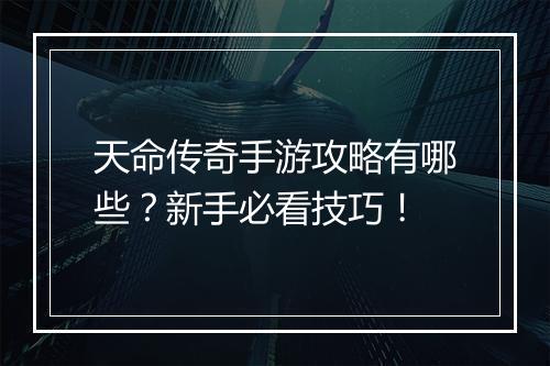 天命传奇手游攻略有哪些？新手必看技巧！