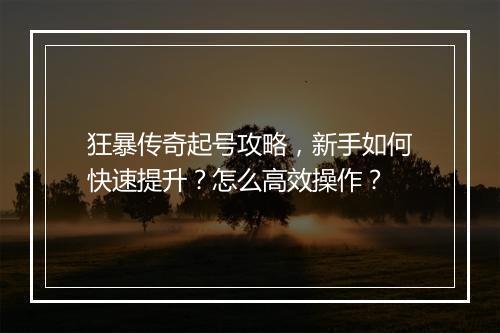 狂暴传奇起号攻略，新手如何快速提升？怎么高效操作？