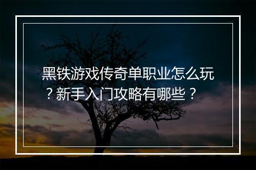 黑铁游戏传奇单职业怎么玩？新手入门攻略有哪些？
