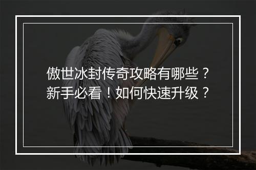 傲世冰封传奇攻略有哪些？新手必看！如何快速升级？