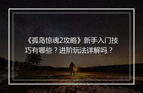 《孤岛惊魂2攻略》新手入门技巧有哪些？进阶玩法详解吗？