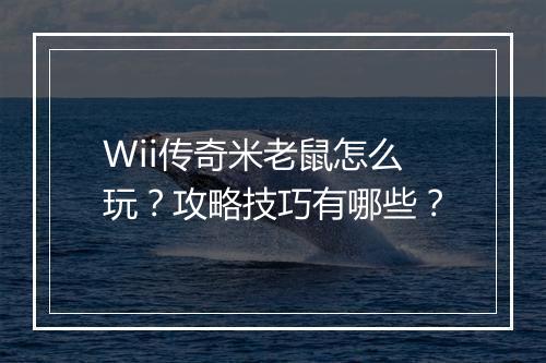 Wii传奇米老鼠怎么玩？攻略技巧有哪些？