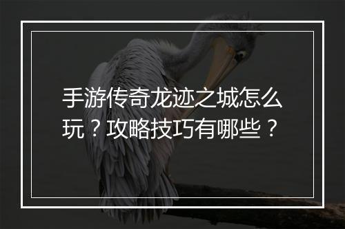 手游传奇龙迹之城怎么玩？攻略技巧有哪些？